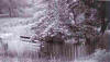 Cross
Timbers Springhouse
