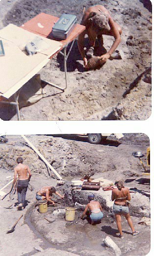 Mastodon Dig